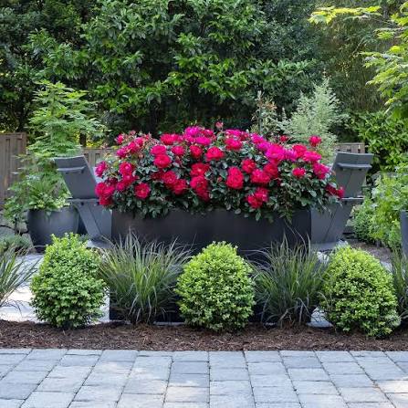 Landscaping, Planters & Outdoor Living
