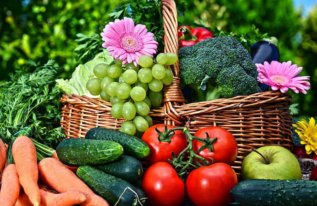 Fruits, Vegetables & Floriculture