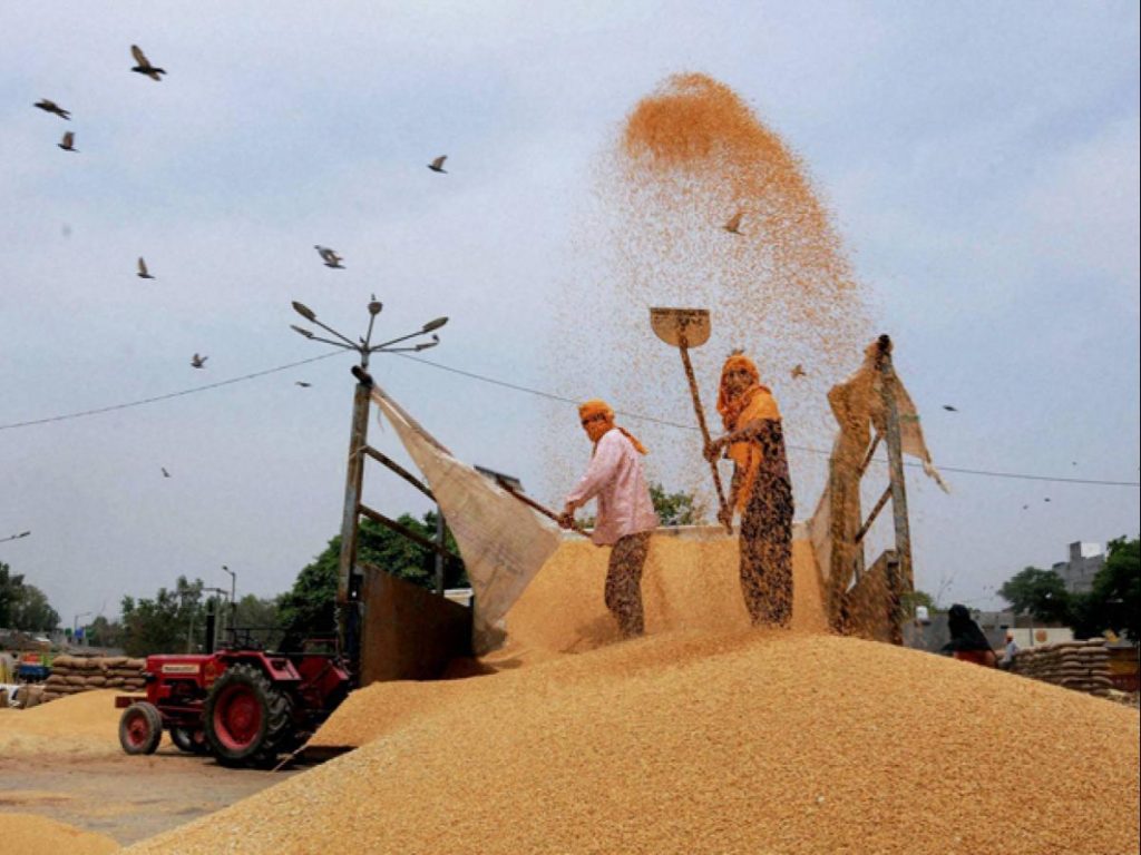 Post Harvest, Cold Chain & Food Processing