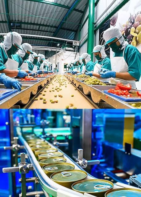 Post Harvest, Cold Chain & Food Processing