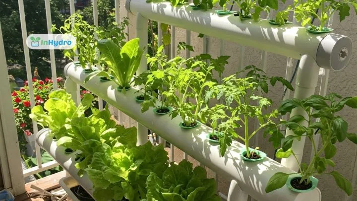 Hydroponics, Vertical Farming & Smart Agriculture